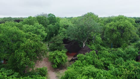 aerial drone shot flying forward over a luxury lodge in the dense selous jungle. tanzania, cloudy day.