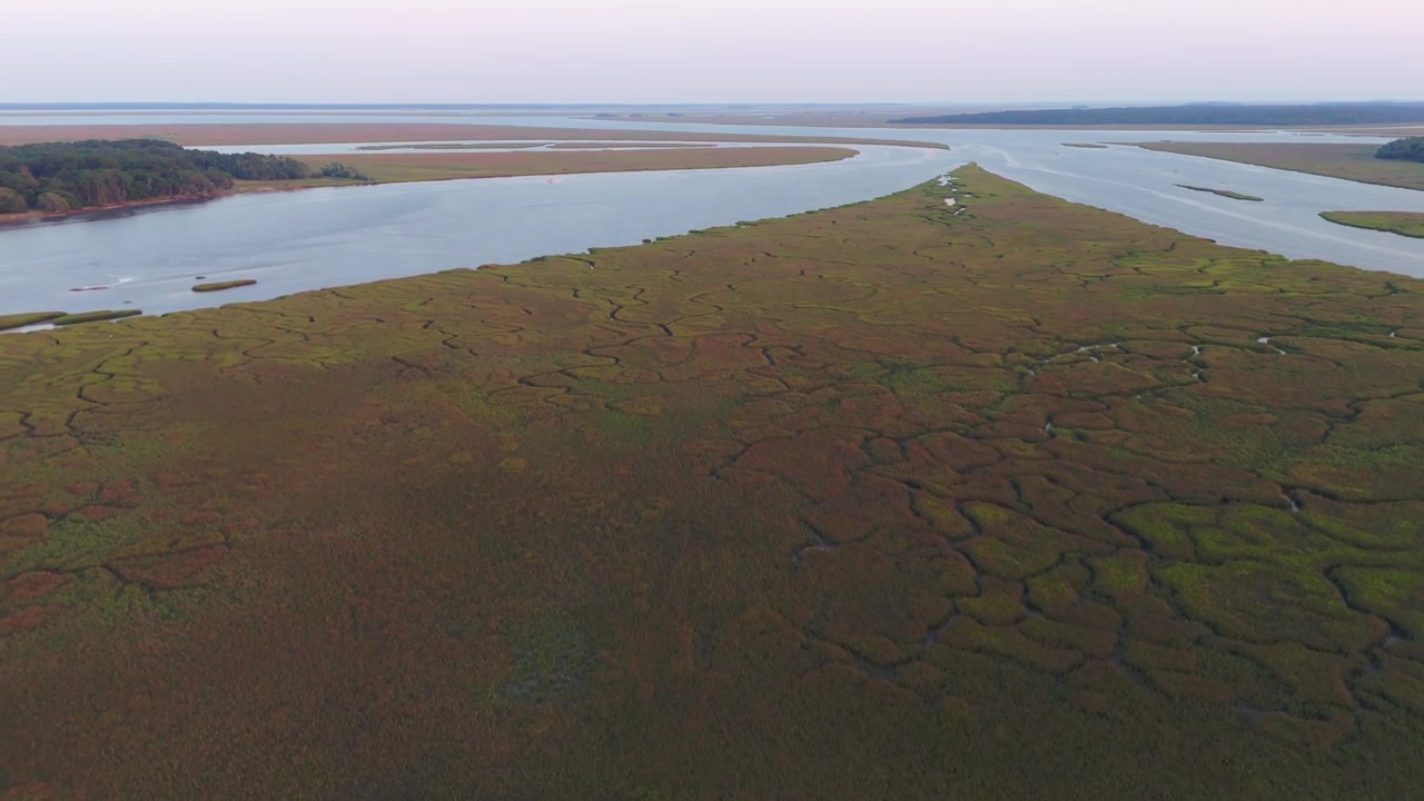Rivelazione aerea con drone 4K in panoramica da intricate paludi salmastre per mostrare un corso d'acqua fluviale aperto a Shellman Bluff, Georgia, Stati Uniti d'America.