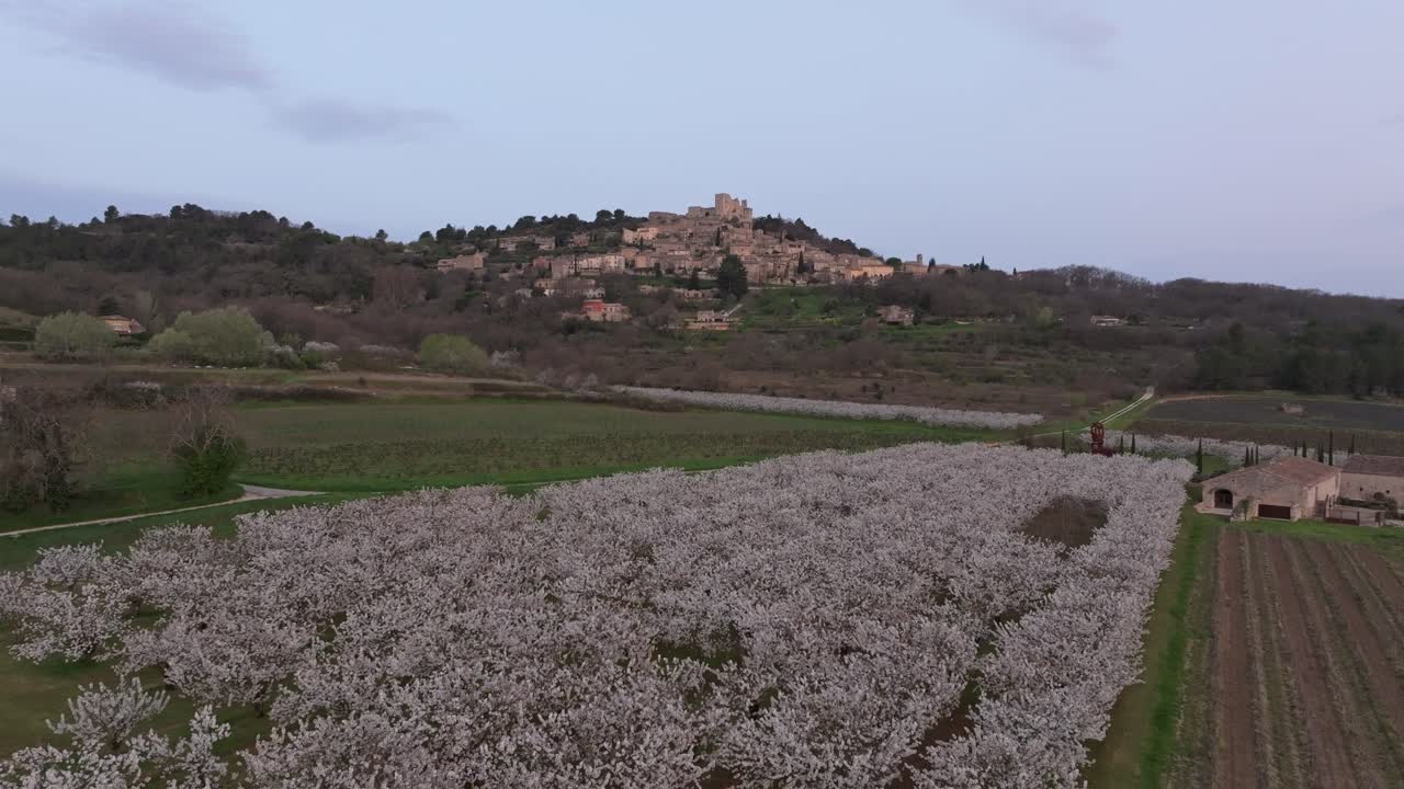 Flygfoto över körsbärsblommor nära byn Lacoste vid soluppgången på våren