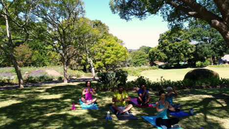 group of people performing yoga in the park 4k