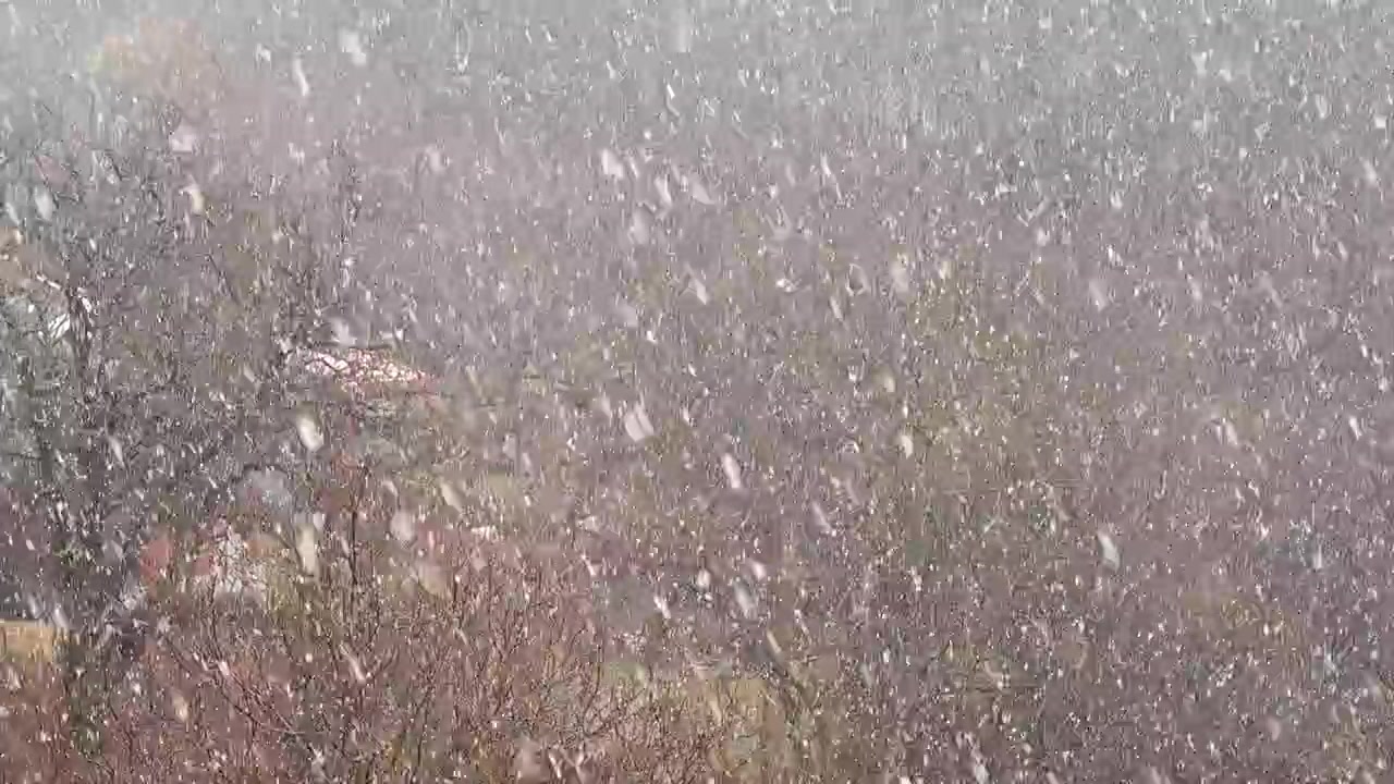 Ventisca en invierno