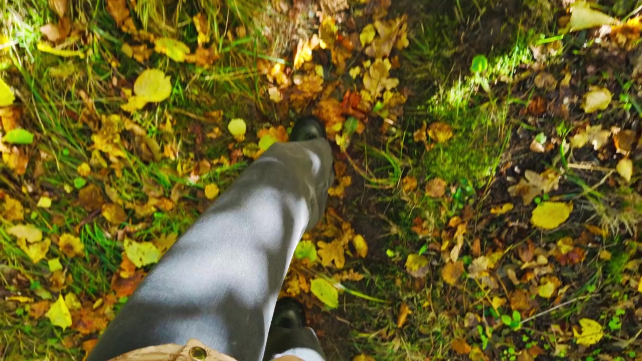 Slow motion POV of woman walking across autumn leaves in Latvia nature