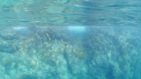 por encima y por debajo del océano utilizando una lente de visión de burbuja única