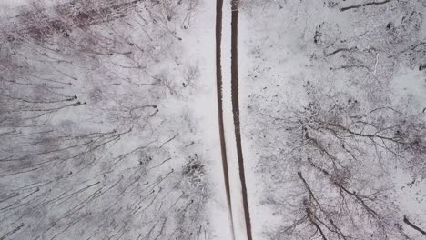 isolated narrowed off road street pass through forest during winter snow landscape aerial top down view from above climate change concept