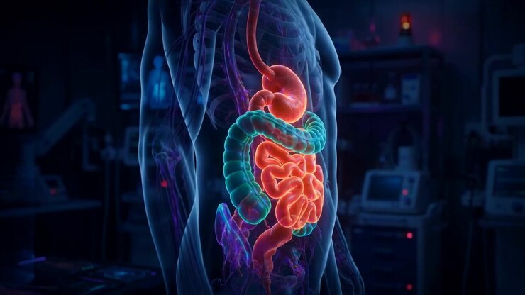 Translucent human torso hologram with a glowing digestive tract inside a dark high tech medical laboratory