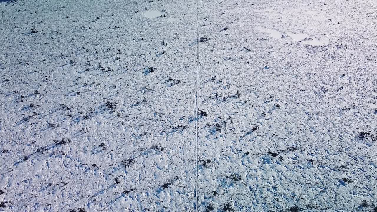 reveladora vista aérea del paisaje nevado de pantanos con senderos para caminatas y lagos congelados en el soleado día de invierno, pantano de turba dunika, disparo de drones de gran angular a gran altitud avanzando, inclinado hacia arriba