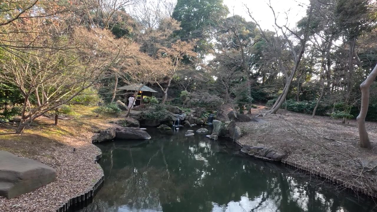 Cảnh quay rộng về một người phụ nữ mặc kimono truyền thống bên một cái ao ở Tokyo, Nhật Bản