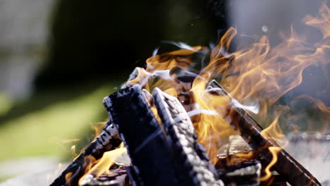 fuego de campamento