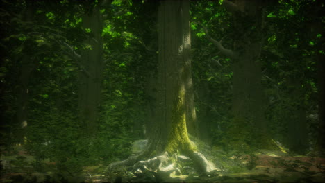 mysterious forest scene