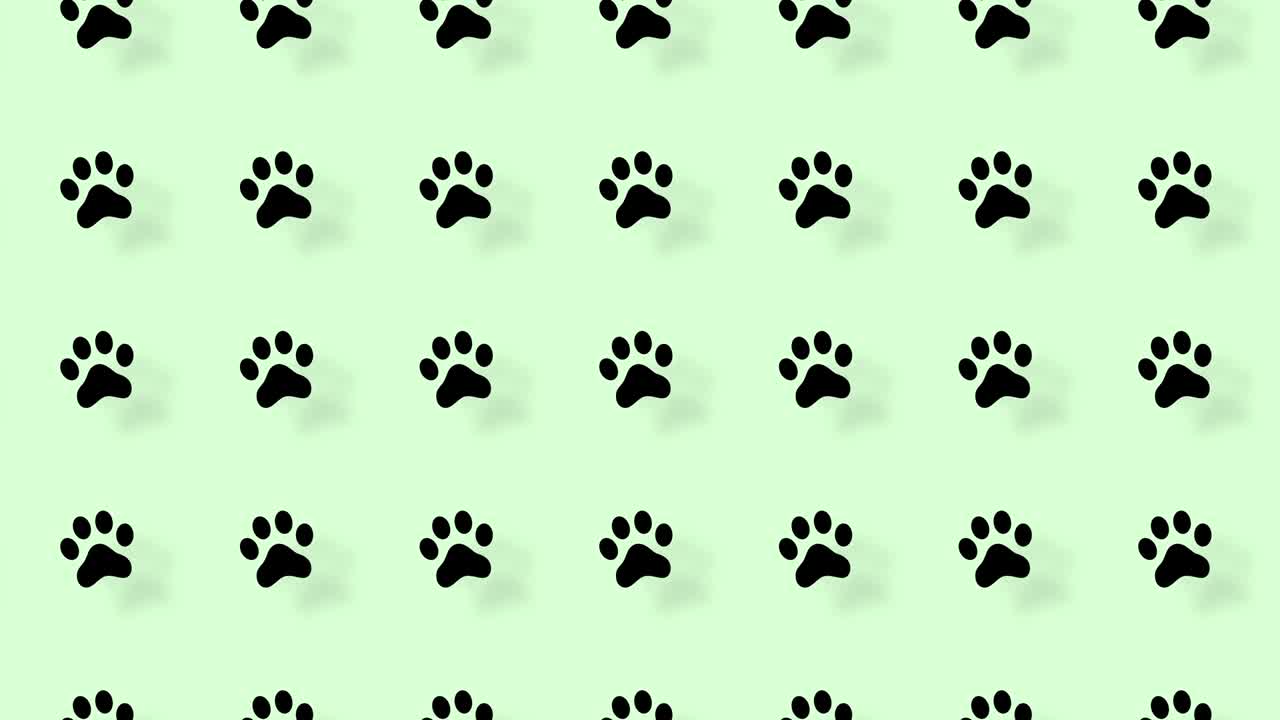 Colorful pattern of cat paws on green background with shadows. Seamless pattern with cat paw. Top view. Animal silhouette. 4K video motion