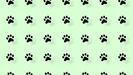 colorful pattern of cat paws on green background with shadows. seamless pattern with cat paw. top view. animal silhouette. 4k video motion