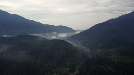 Aerial-view-from-a-drone-of-a-reforested