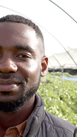 Vertical video: Smiling farmer in hydroponic farm, standing in greenhouse with plants