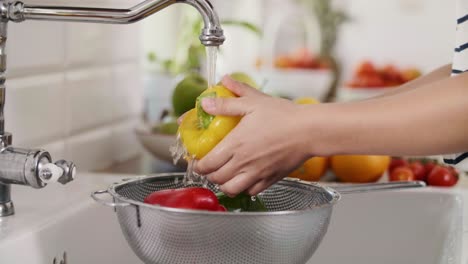 Handheld-view-of-woman-washing-colorful-peppers/Rzeszow/Poland