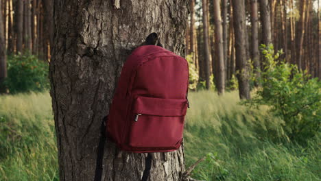 red backpack on a tree