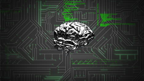 Brain and a digital circuit with program codes