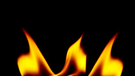 realistic fire flames burn movement on black background