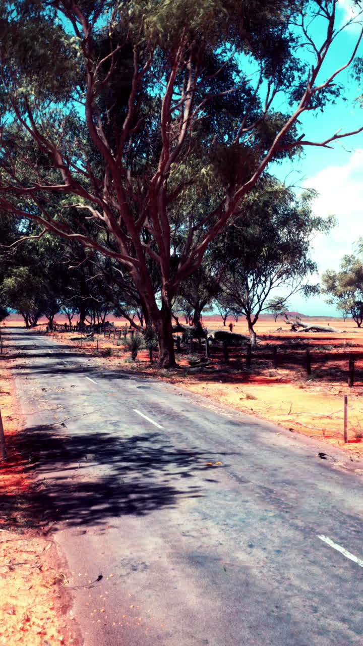 사막 풍경을 가로질러 외로운 길