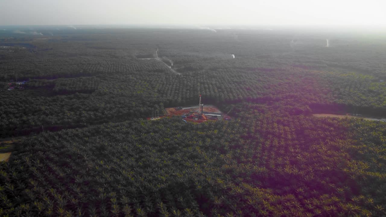 imágenes cinematográficas de drones de 4k de la estructura del equipo de la plataforma de perforación en tierra para la exploración y explotación de petróleo en medio de la jungla rodeada de palmeras durante la puesta de sol y el alto precio del petróleo