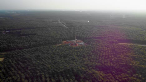 imágenes cinematográficas de drones de 4k de la estructura del equipo de la plataforma de perforación en tierra para la exploración y explotación de petróleo en medio de la jungla rodeada de palmeras durante la puesta de sol y el alto precio del petróleo