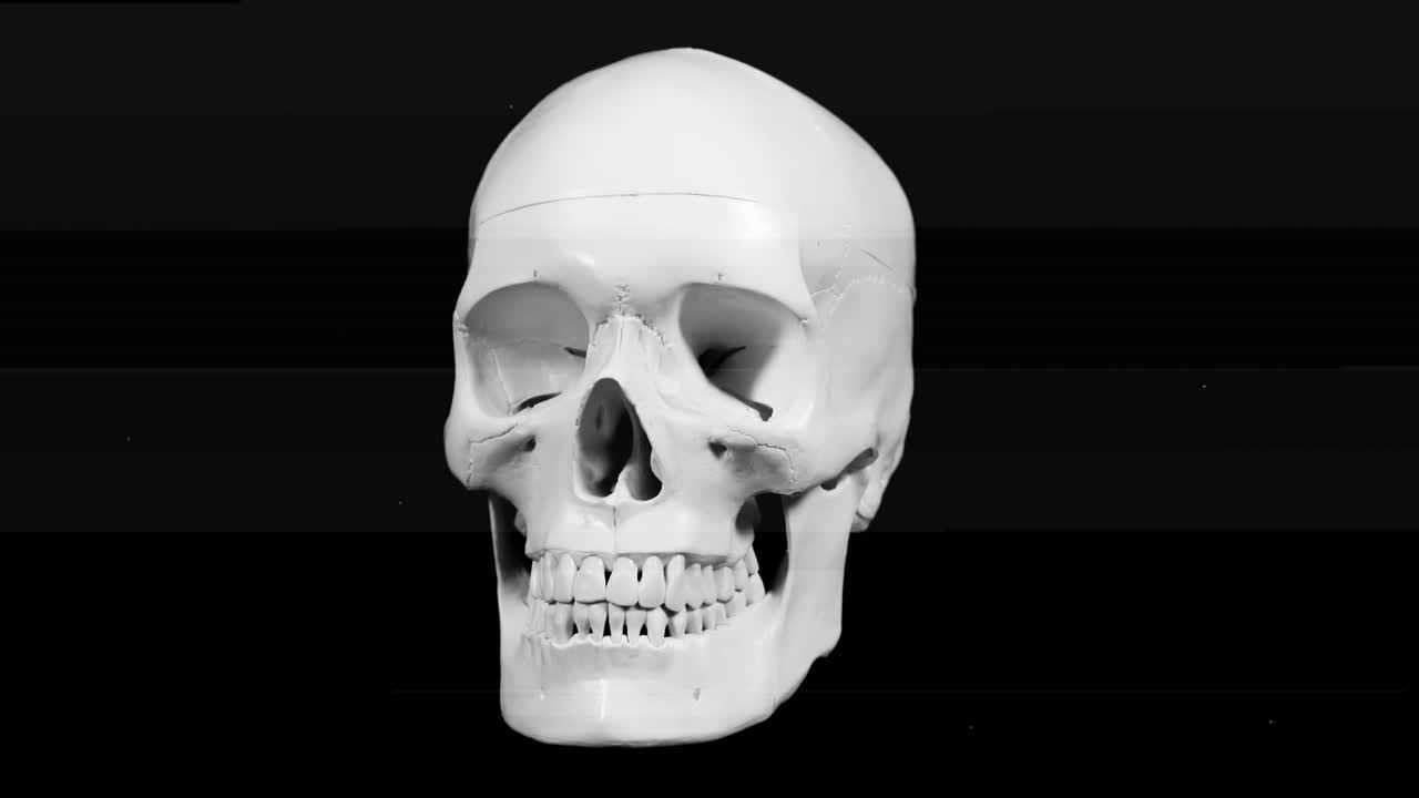 череп человека с солнцезащитными очками