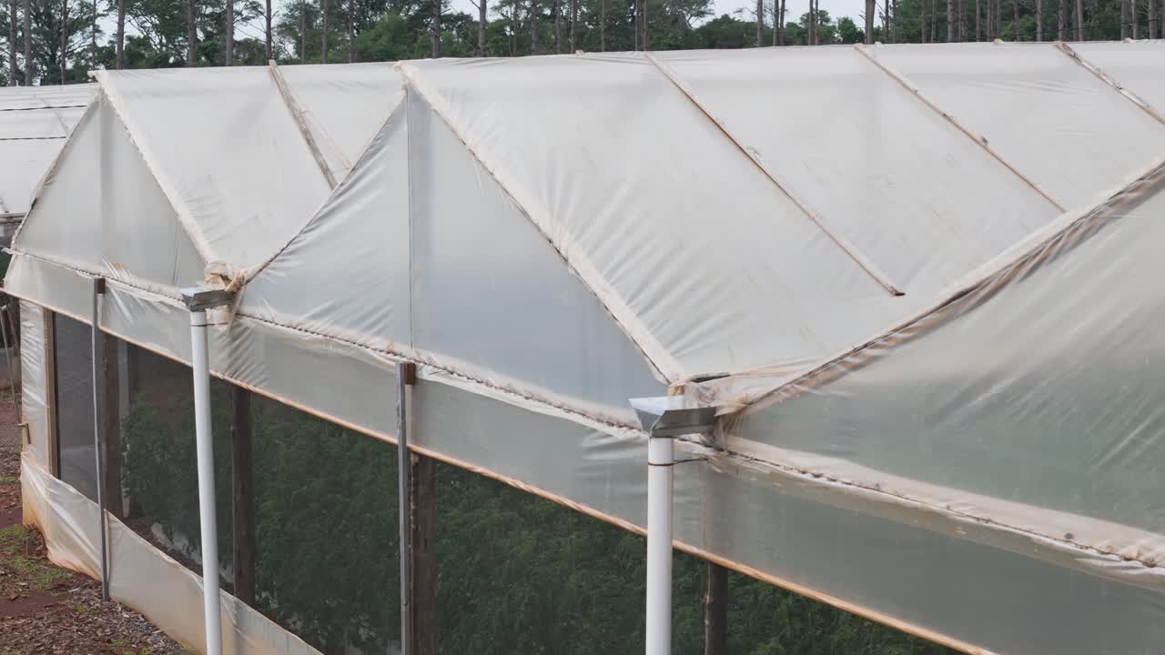 un breve video que muestra el interior de un invernadero moderno, destacando las técnicas y tecnologías innovadoras utilizadas para el cultivo de plantas