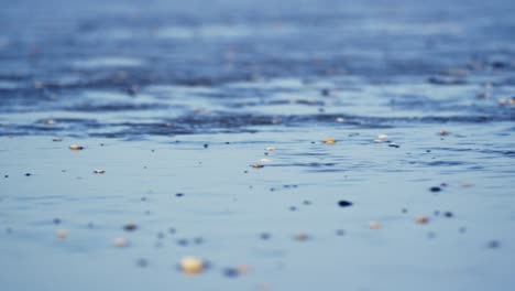 strong wind blows ripples on wet beach sand