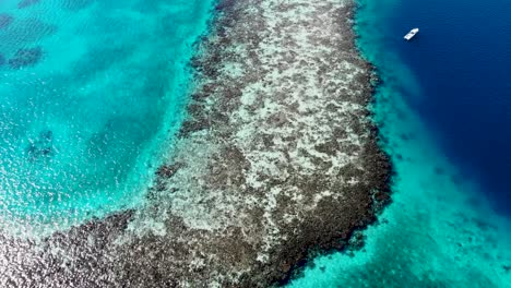 aerial view belize coral reef with blue hole  .