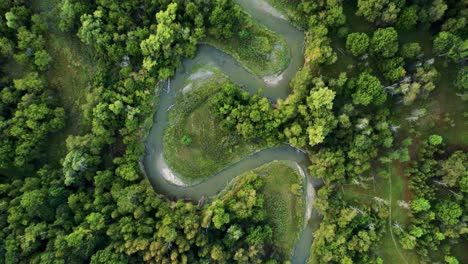 el sinuoso río atraviesa un exuberante paisaje forestal verde vista aérea de arriba hacia abajo siguiendo el parque del río rouge canadá