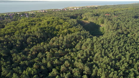 Vista-Aérea-De-árboles-De-Bosque-Denso-En-Krynica-Morska-Con-Costa-Vista-En-La-Distancia