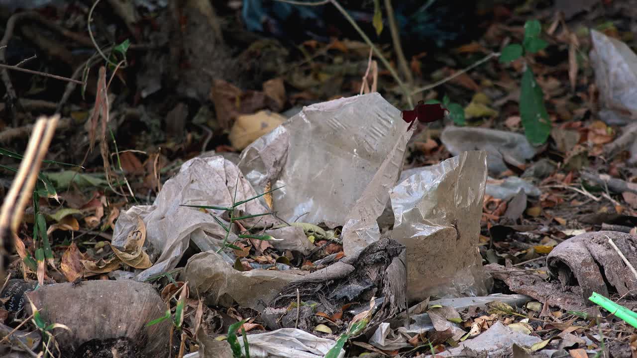Close Exterior Static Shot of a Big Piece of Plastic Destroying in the Jungle in the Day