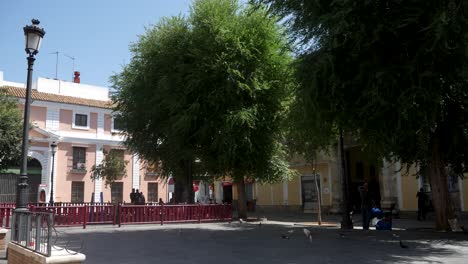 Vista-General-De-La-Plaza-Del-Pumarejo-En-Sevilla