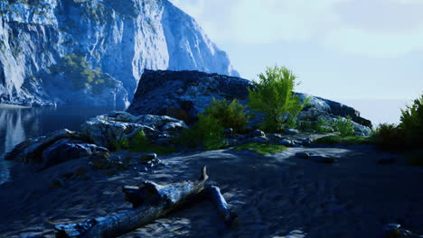 beautiful coastal landscape featuring rocky shore and lush greenery