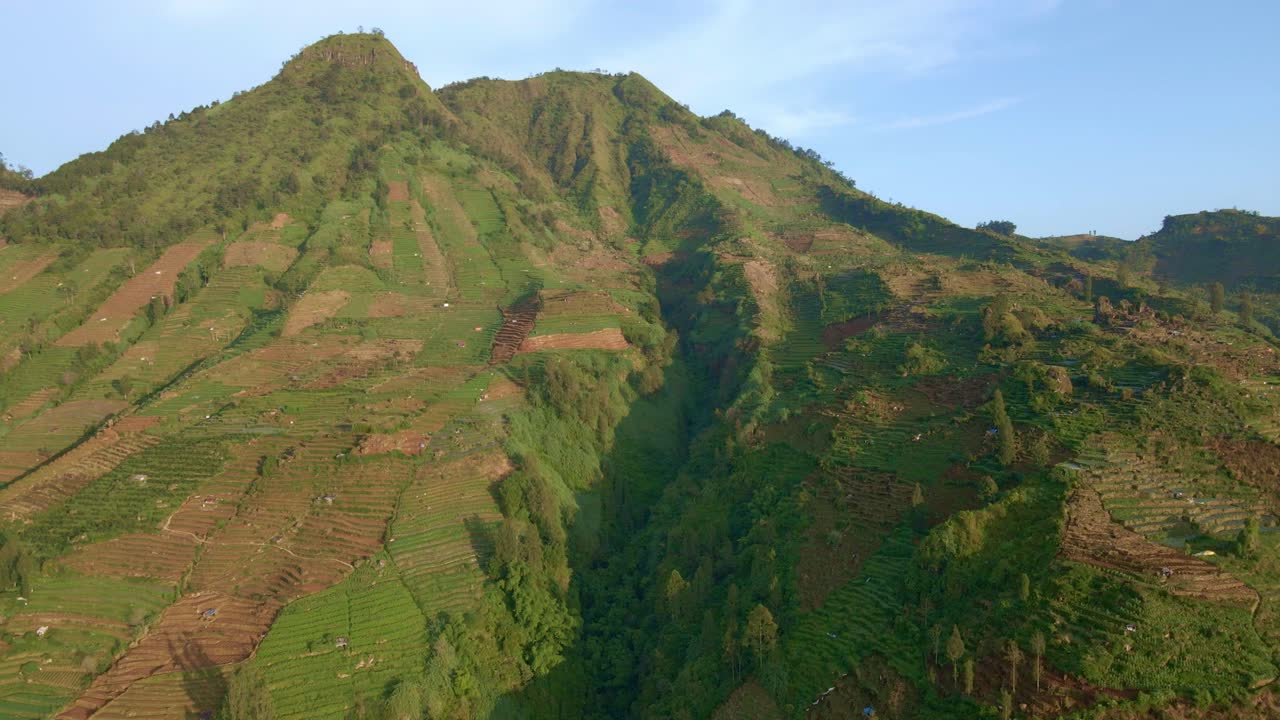 una montaña en wonosobo, indonesia cuyos flancos enteros están cubiertos de plantaciones de patatas