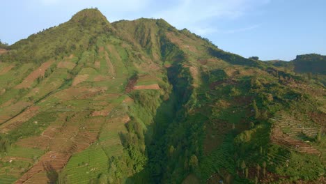 a mountain in wonosobo, indonesia whose entire flanks are covered with potato plantations