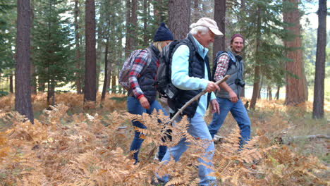 a senior and a mid-adult couple walking on a forest trail