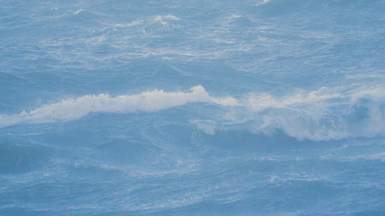 냉정한 바다표범이 거친 폭풍우를 고 서서히 파란 바다의 파도를 고 있습니다. 극심한 날씨 4k 동안 영국 만에서 강력한 격동 해안선 파도가 부풀어 오릅니다.