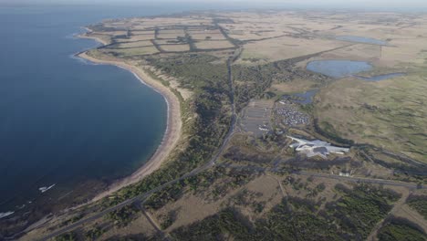 Desfile-De-Pingüinos-En-La-Isla-Phillip-Frente-A-La-Costa-De-Victoria-En-Australia