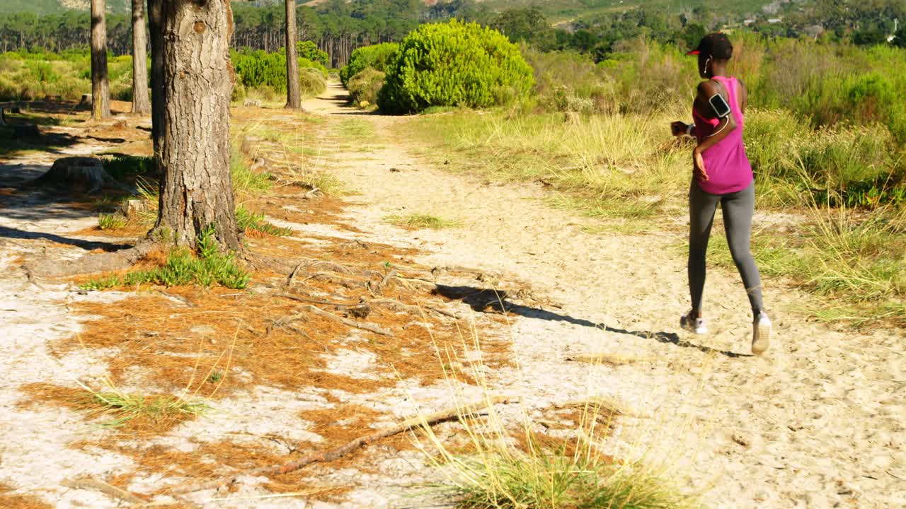 Female athlete jogging in the forest on a sunny day 4k