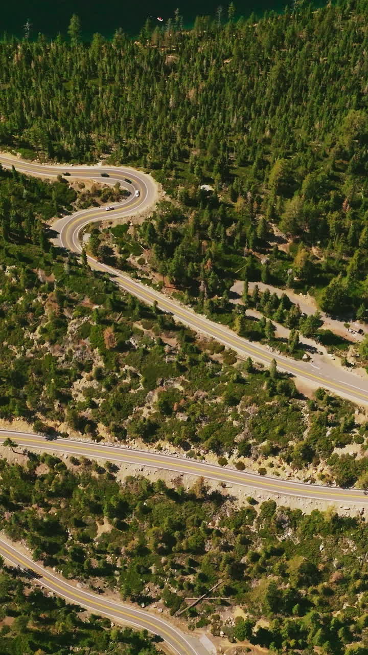 Mountain road crosiing the wood. Summer forest road landscapes. Vertical video