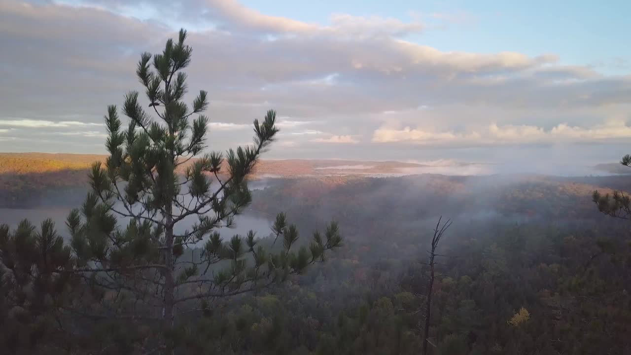 plano medio del amanecer aéreo que se eleva por encima de un pino verde para revelar lagos de niebla brumosa y colores de bosque otoñal en kawarthas, ontario, canadá