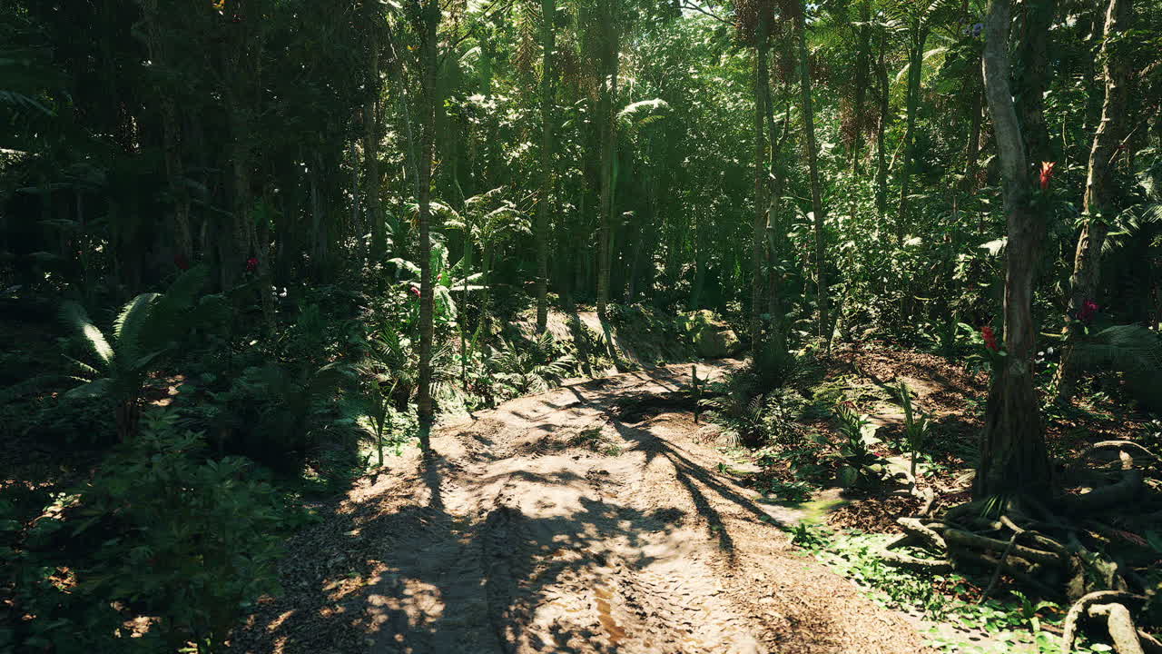 파라과이 열대 우림의 진길에 있는 푸른 풍경