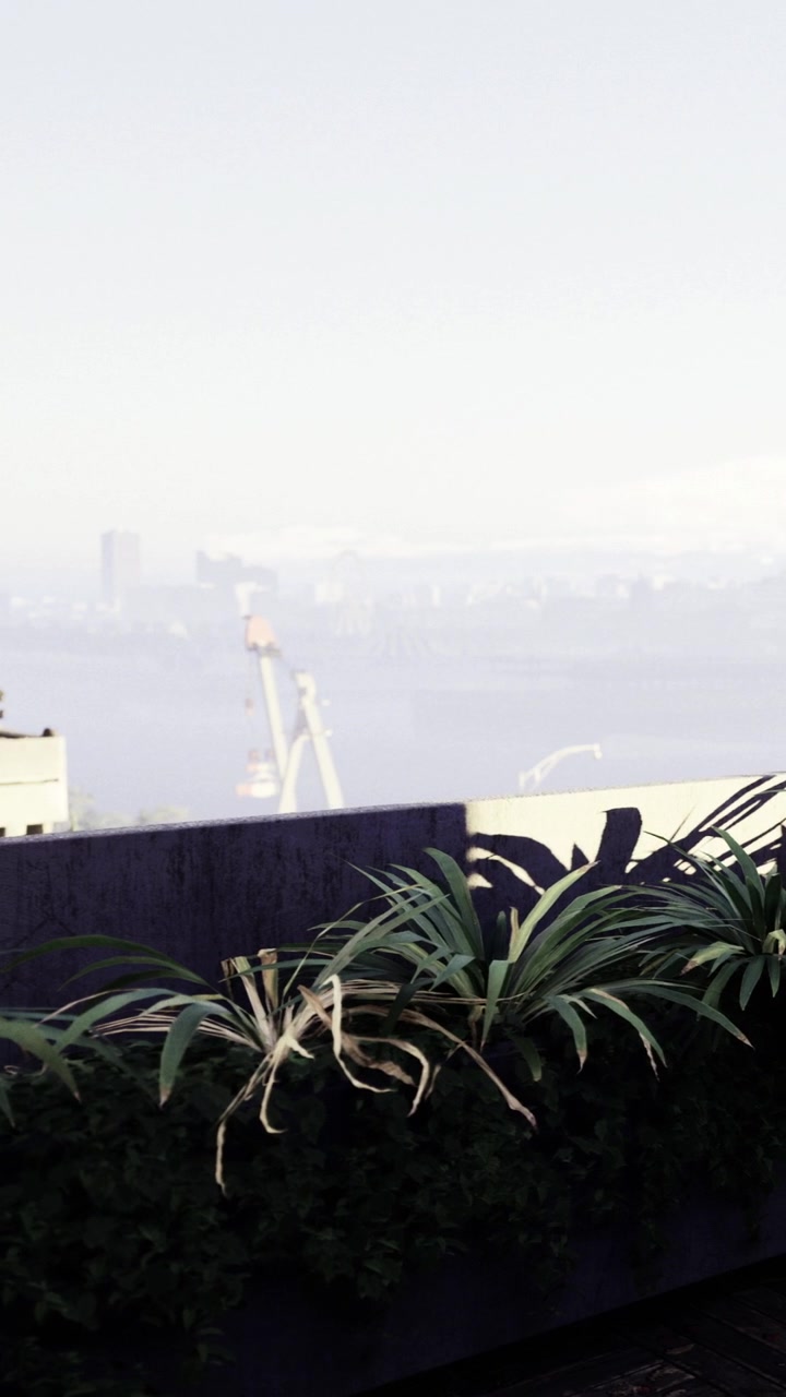 Cityscape view with plants and distant buildings in morning fog