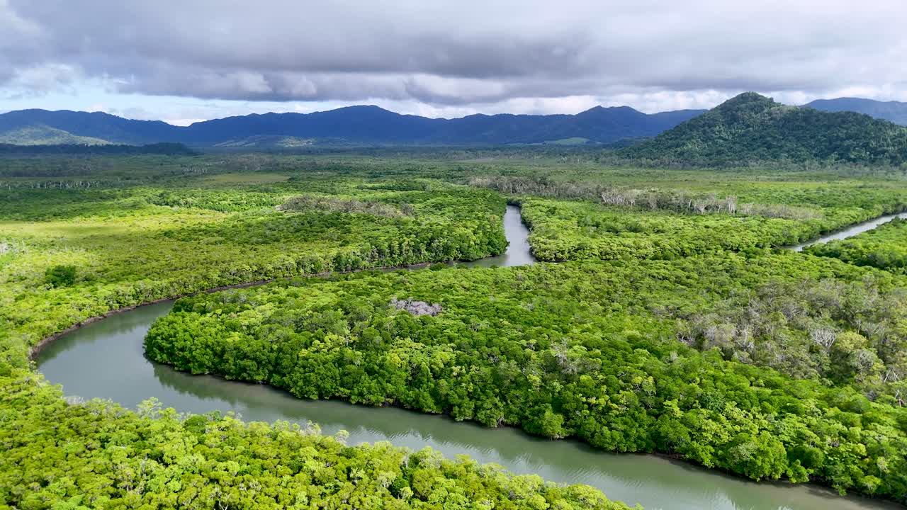 Aerial view of lush rainforest and winding river under cloudy skies, showcasing vibrant greenery and natural beauty