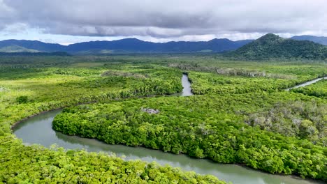 aerial view of lush rainforest and winding river under cloudy skies, showcasing vibrant greenery and natural beauty