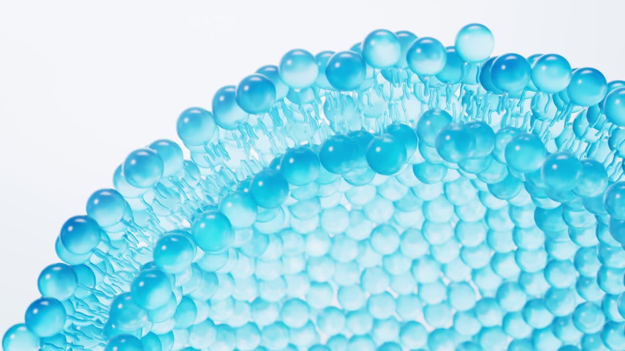 Transparante blauwe dubbellaags membraanstructuur, 3D-weergave