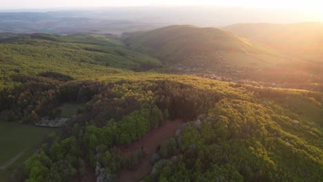 Wunderschöne-Luftdrohnenaufnahme-Des-Waldes-Im-Freien-In-Der-Niederen-Tatra,-Slowakei,-Goldene-Stunde