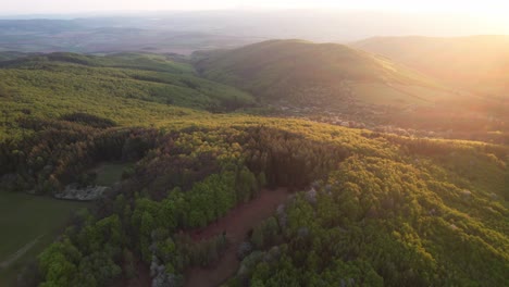 wonderful aerial drone view of outdoor forest in low tatras, slovakia, golden hour