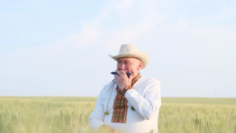an Old Peasant in Ukrainian Clothes in a Field one Pensive Old Man Plays the Harmonica in a Wheat Rye Field an Old Peasant in Ukrainian Clothes in a Field Love for the Field