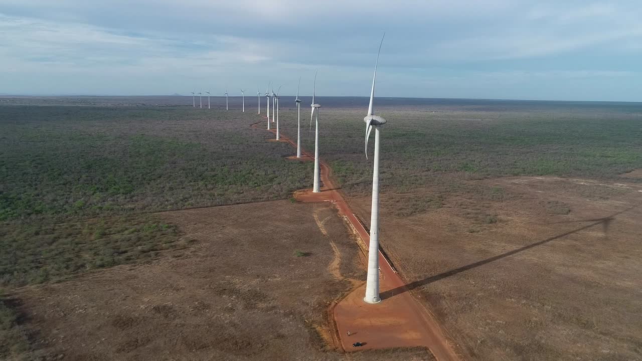 Drone filming a beautiful wind farm in the Brazilian hinterland, machines in a row and soft light